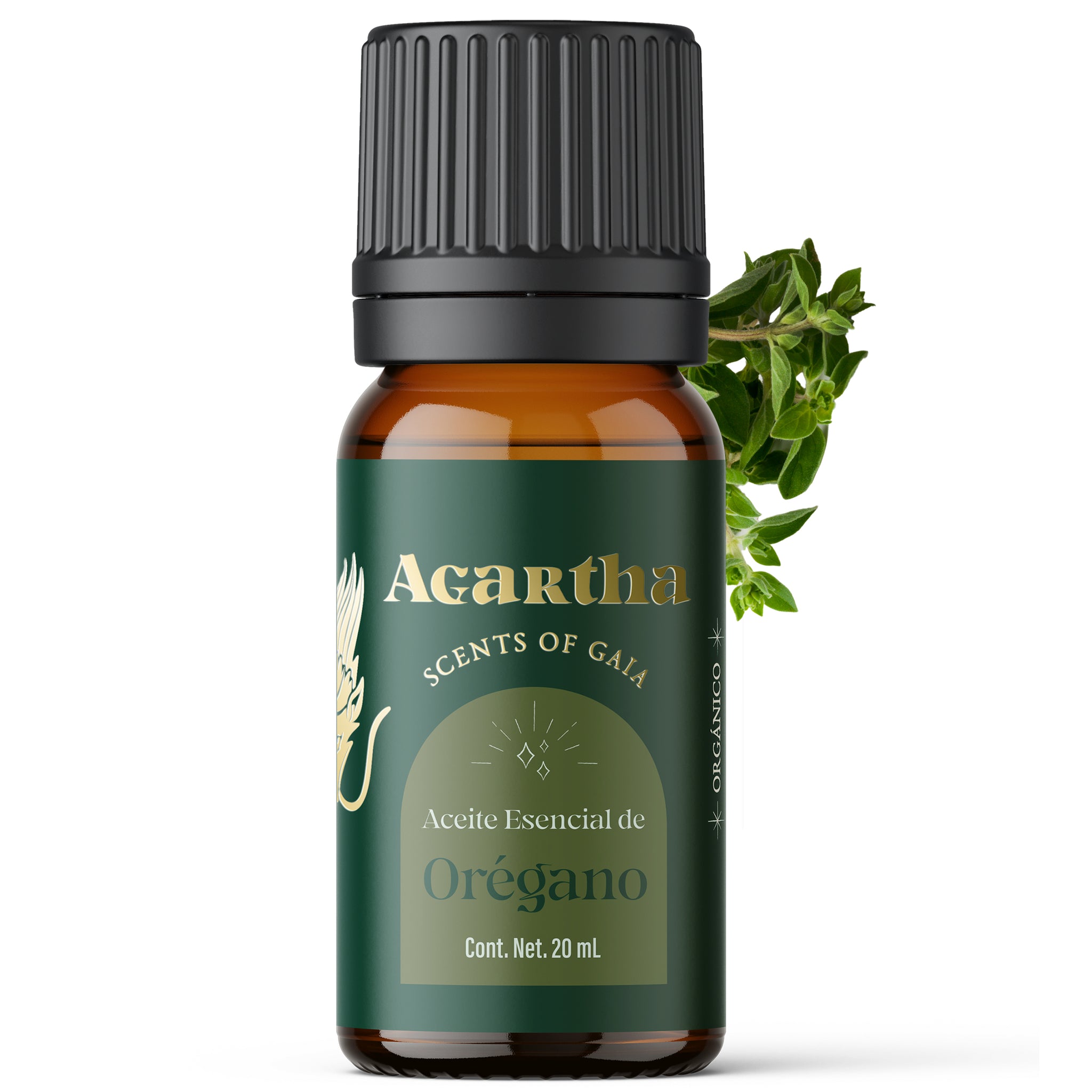 Aceite Esencial de Oregano, 20 ml