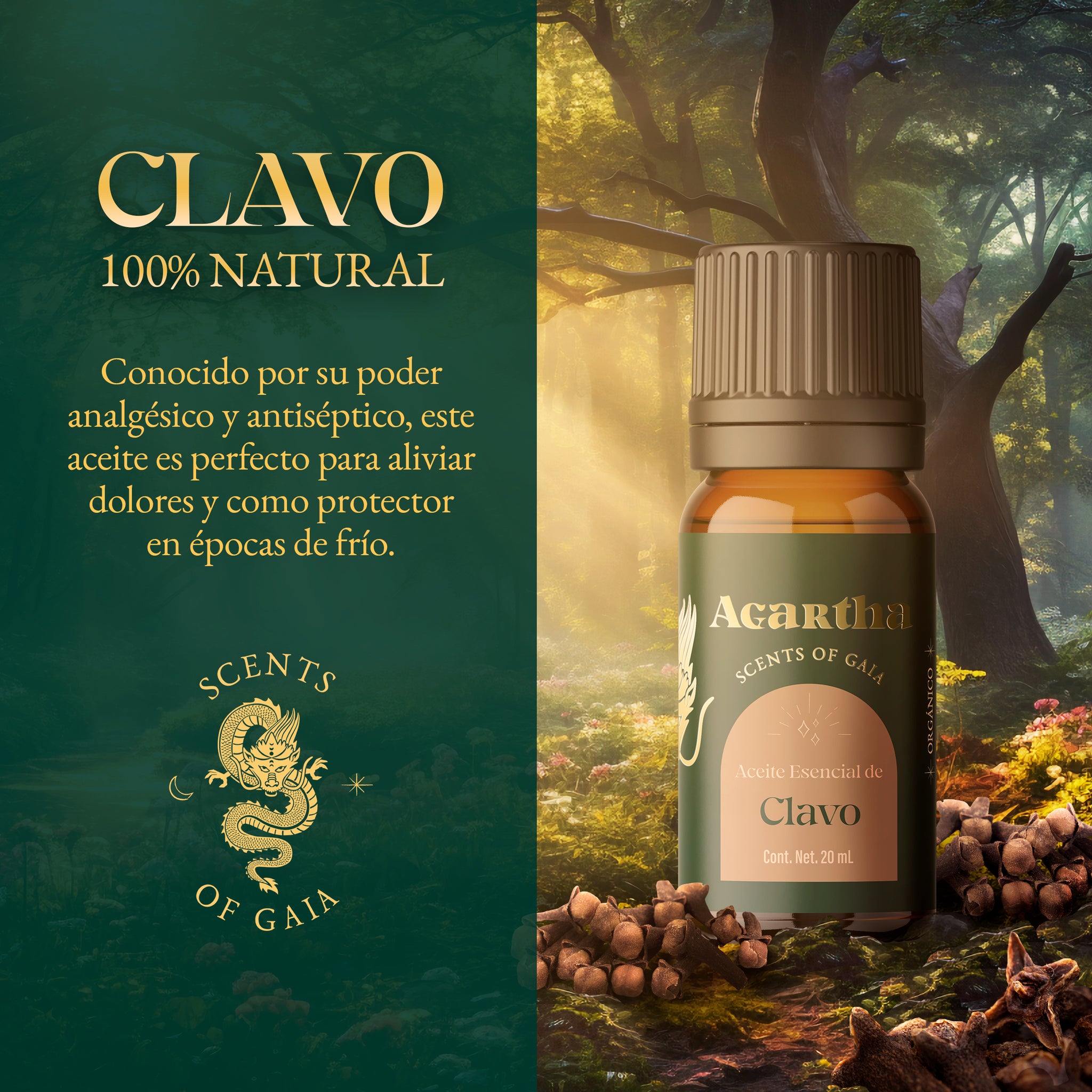 Aceite Esencial de Clavo, 20 ml