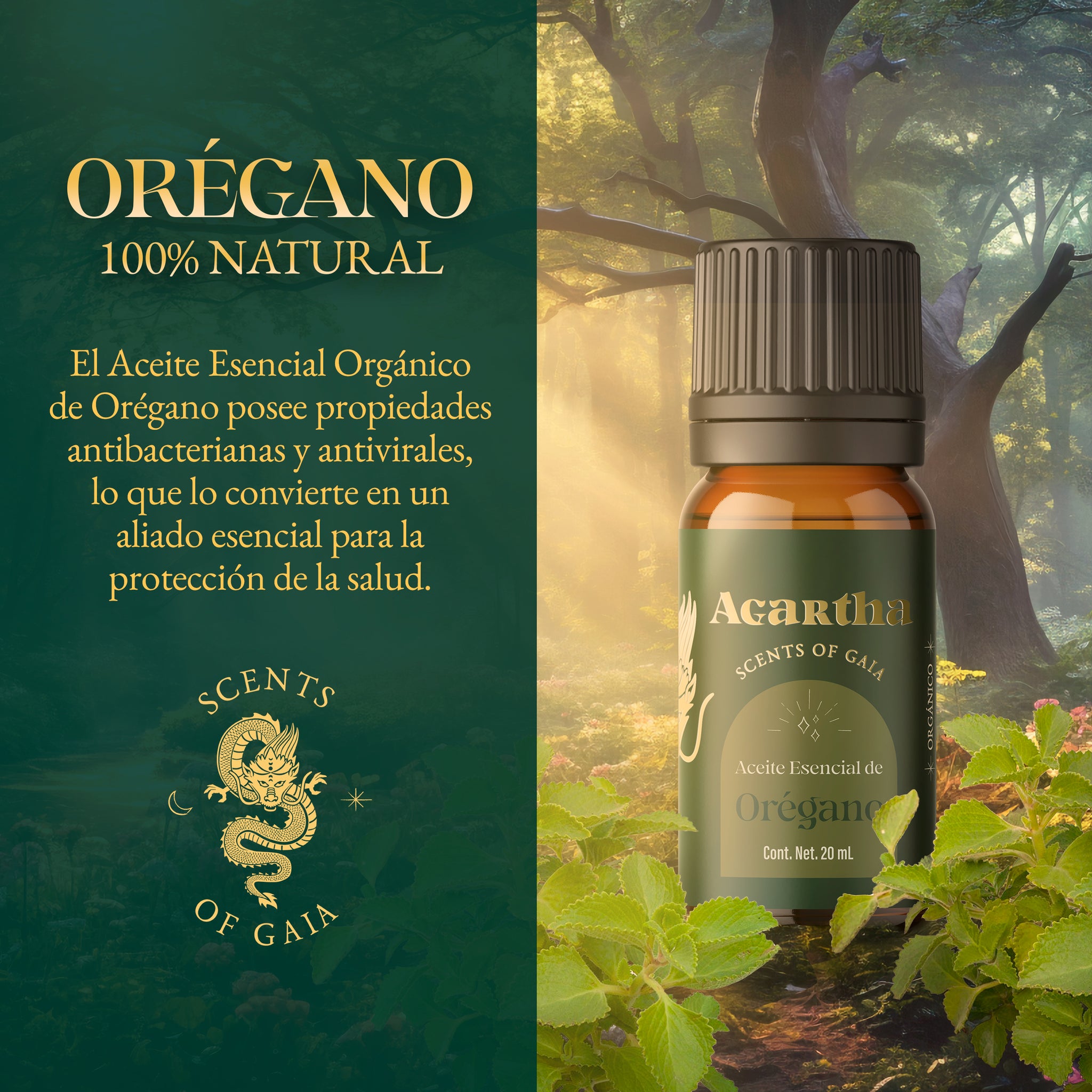 Aceite Esencial de Oregano, 20 ml