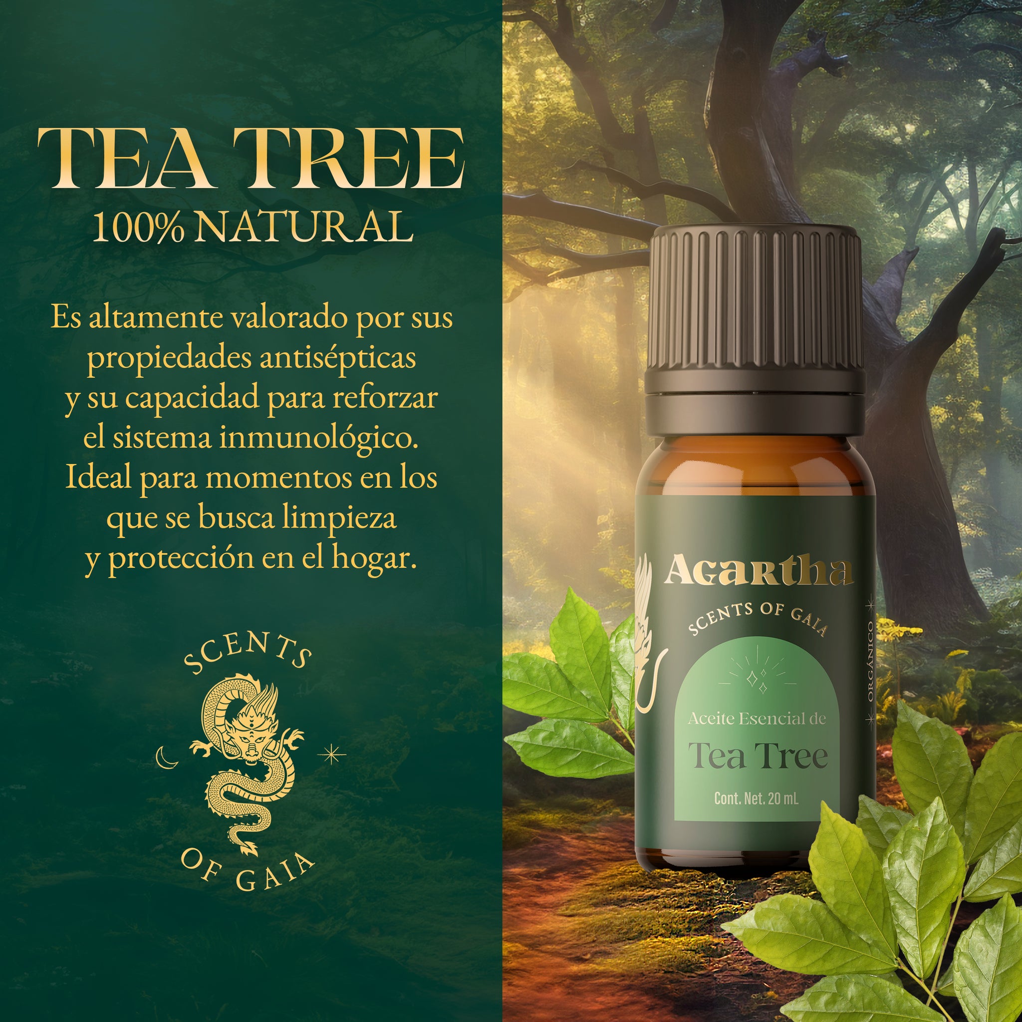 Aceite Esencial de Tea Tree, 20 ml