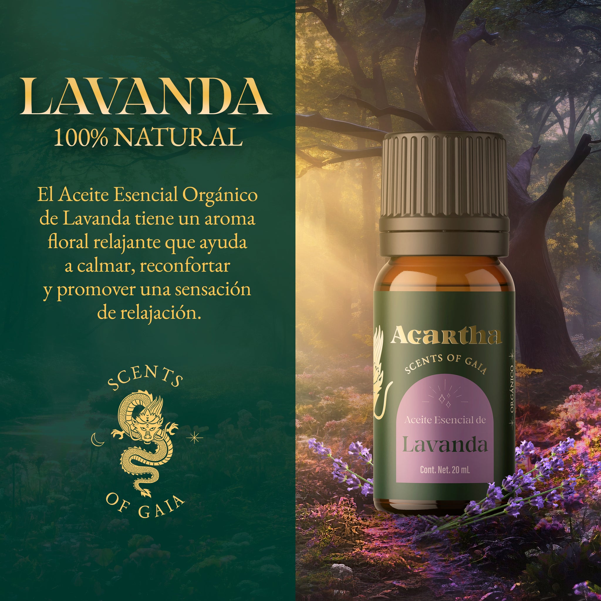 Aceite Esencial de Lavanda, 20 ml