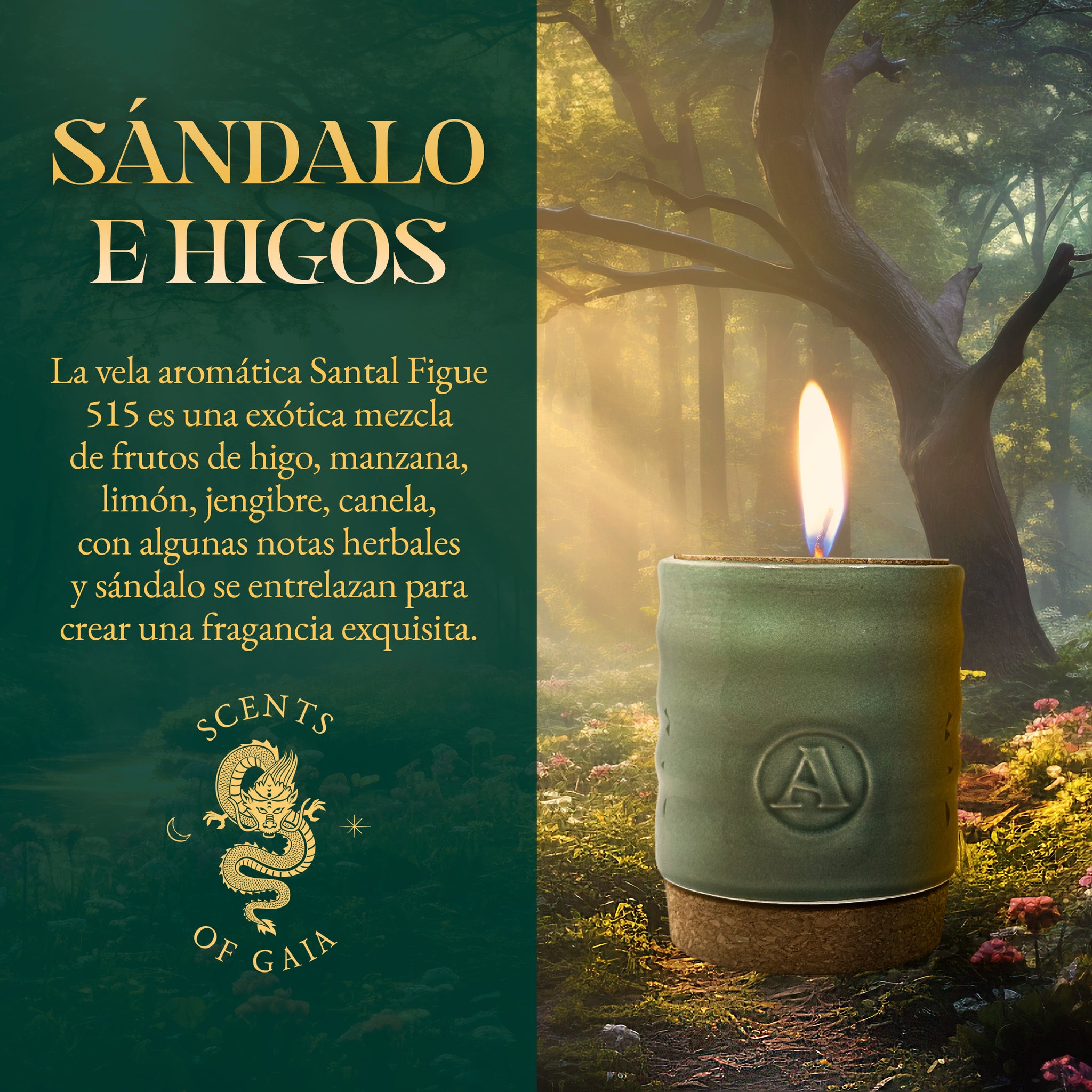 Vela Aromatica Santal Figue 515