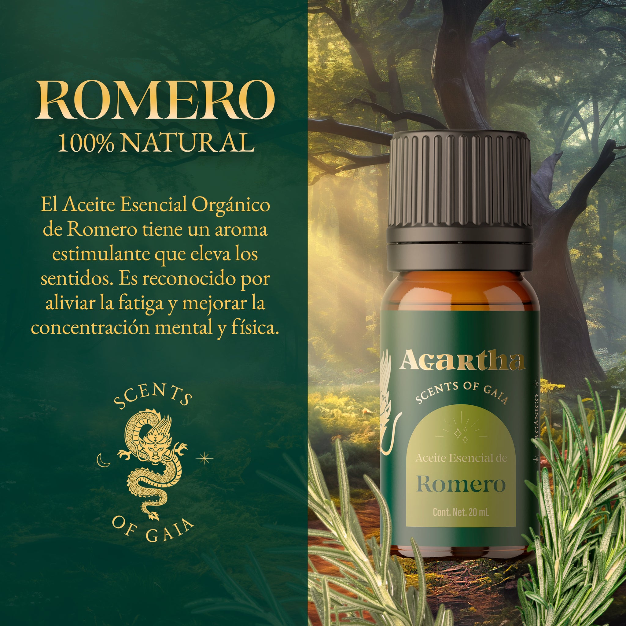 Aceite Esencial de Romero, 20 ml