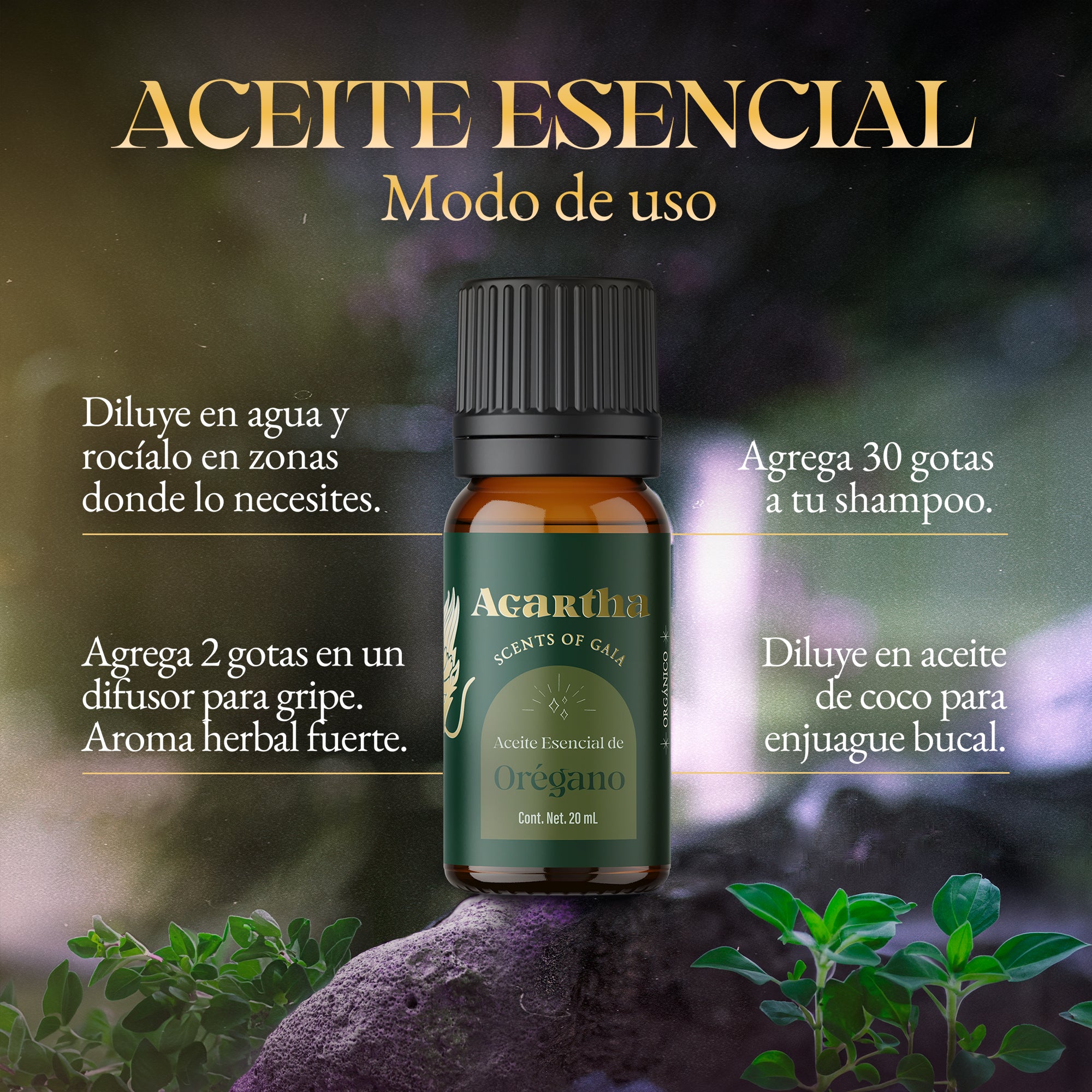 Aceite Esencial de Oregano, 20 ml