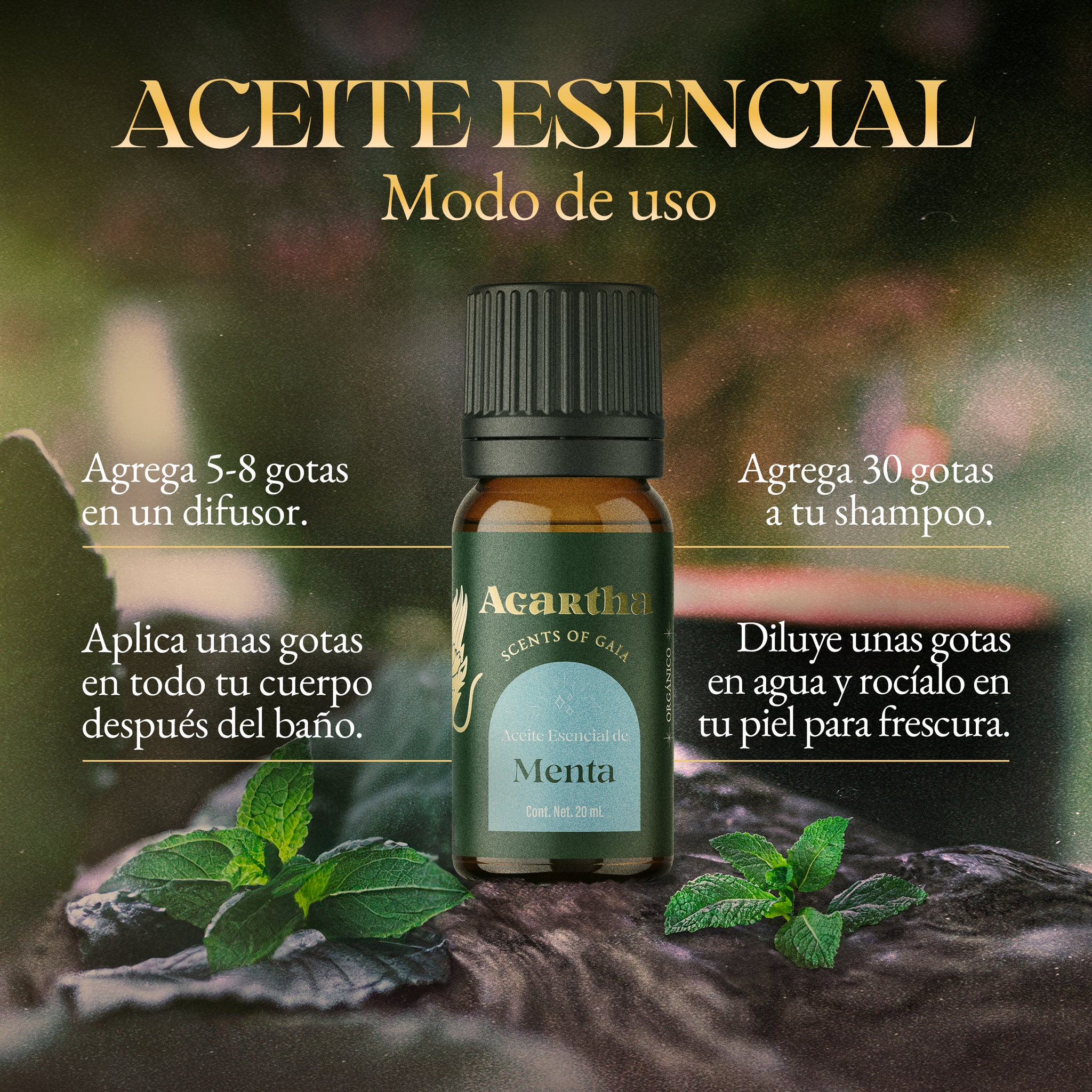 Aceite Esencial de Menta, 20 ml