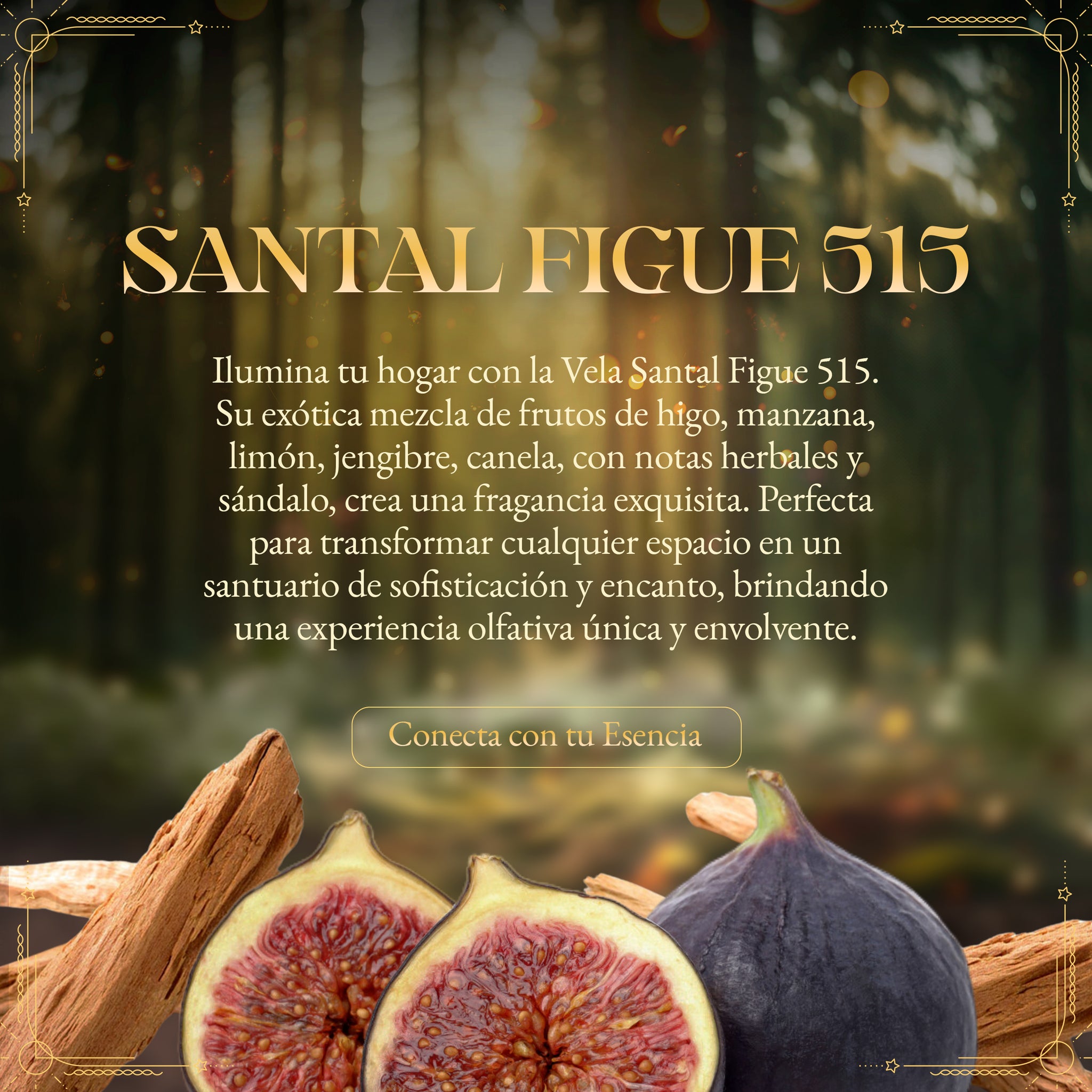 Vela Aromatica Santal Figue 515