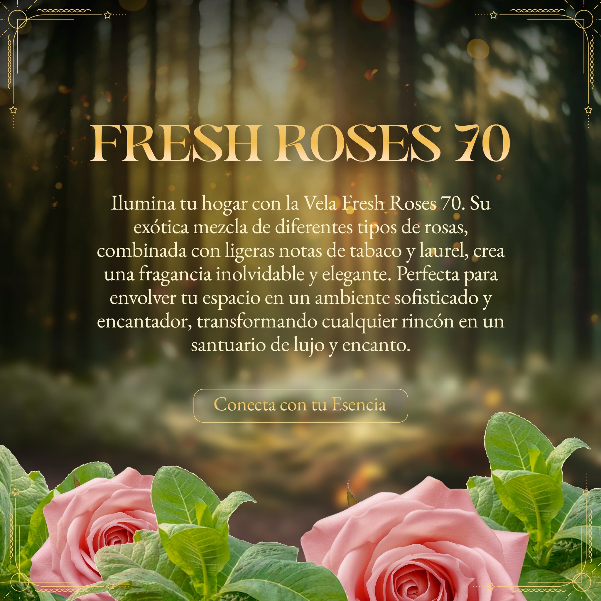 Vela Aromática Fresh Roses 70