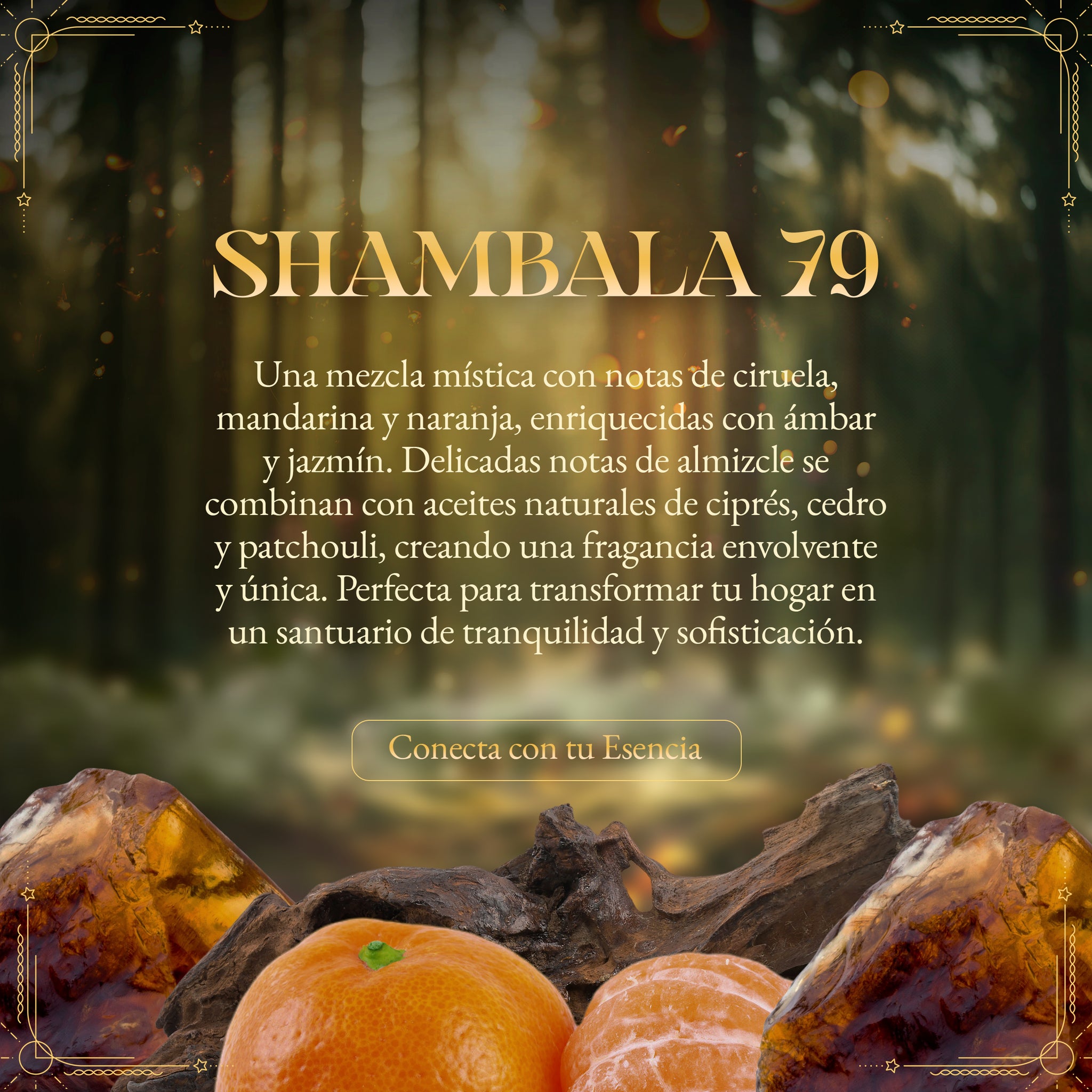 Vela aromática Shambala 79