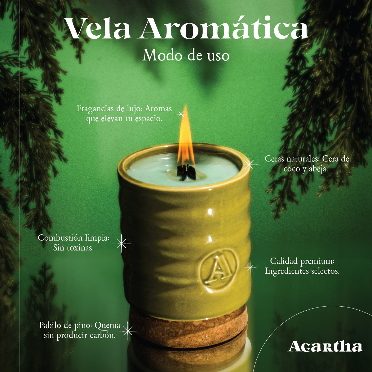 Vela aromatica Agartha 79