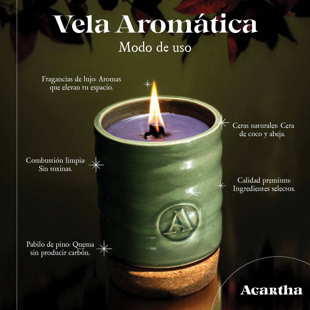 Vela Aromatica Santal Figue 515