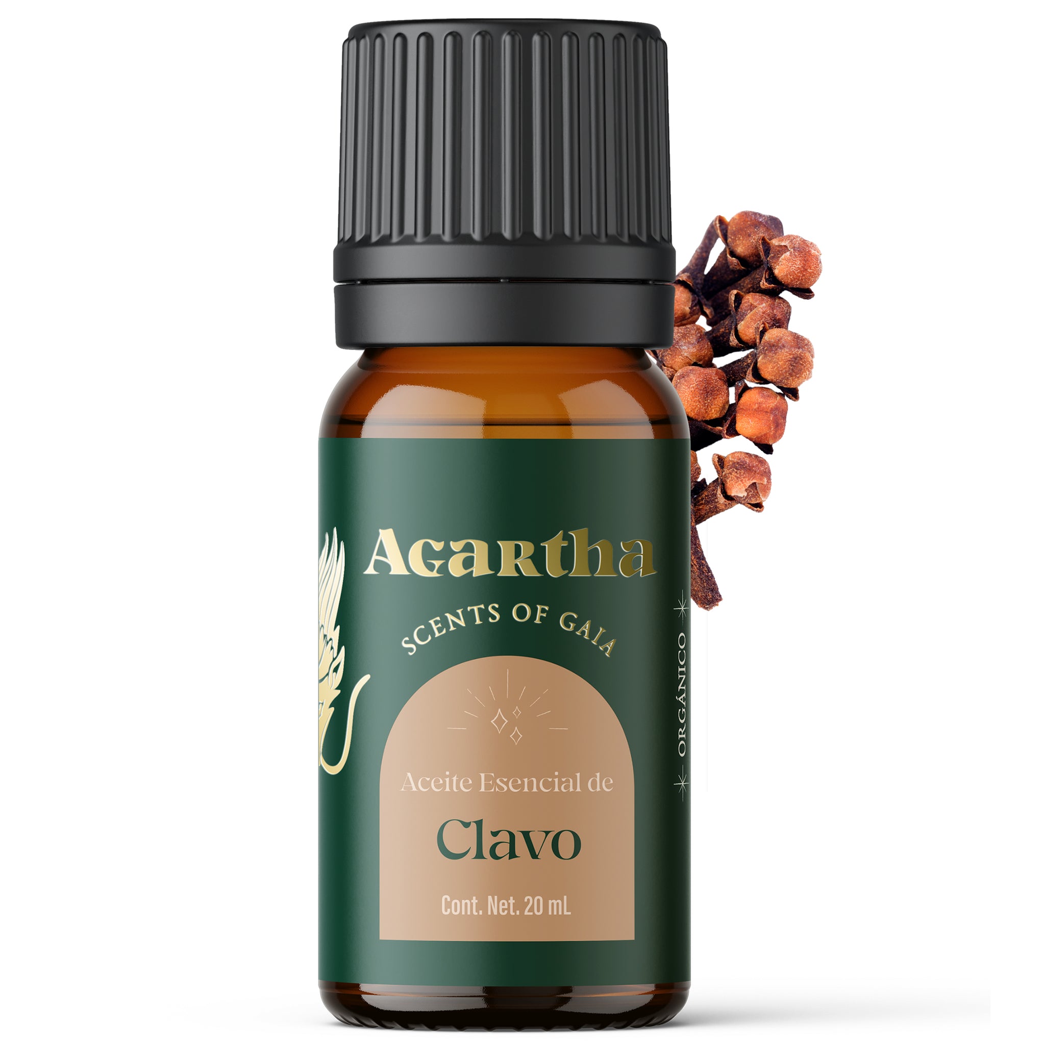 Aceite esencial de clavo, conocido por sus propiedades estimulantes y cálidas, ideal para aliviar molestias musculares y promover la relajación.